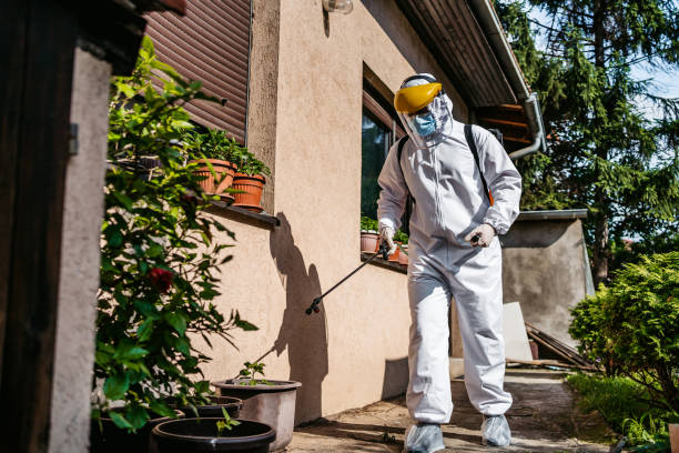 Best Termite Control Services  in Churubusco, IN