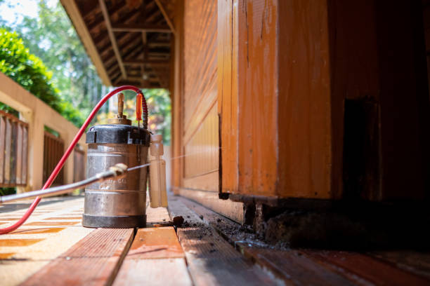 Pest Control for Restaurants in Churubusco, IN