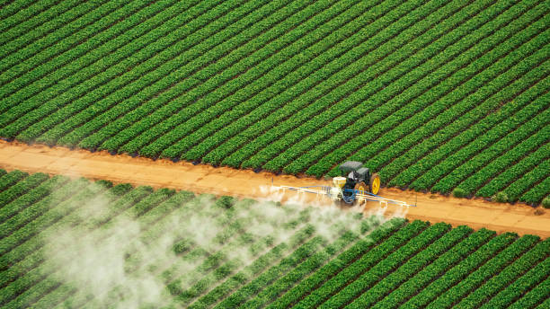 Professional Pest Control in Churubusco, IN