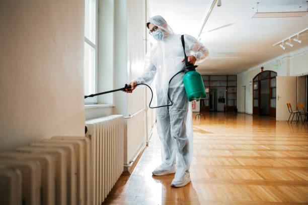 Flea Control Services in Churubusco, IN